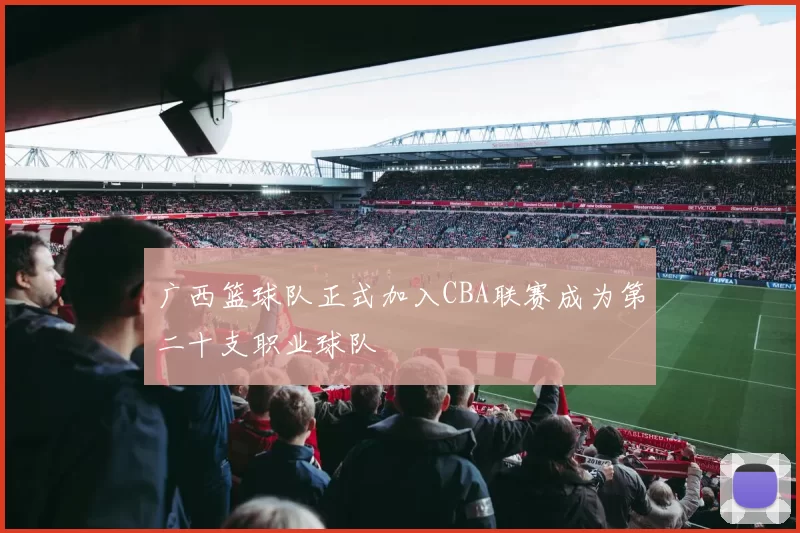 广西篮球队正式加入CBA联赛成为第二十支职业球队