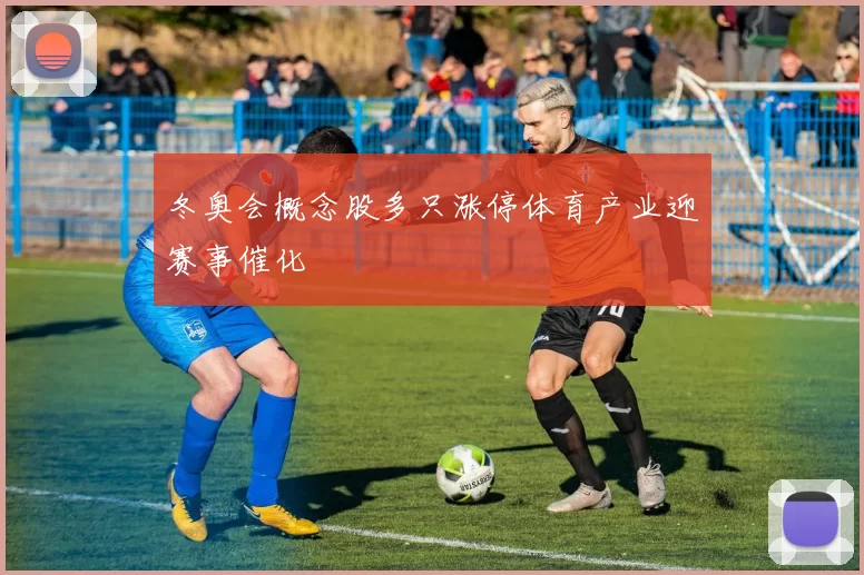 冬奥会概念股多只涨停体育产业迎赛事催化