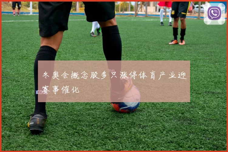 冬奥会概念股多只涨停体育产业迎赛事催化