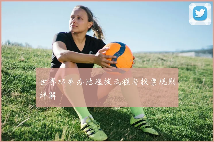 世界杯举办地选拔流程与投票规则详解